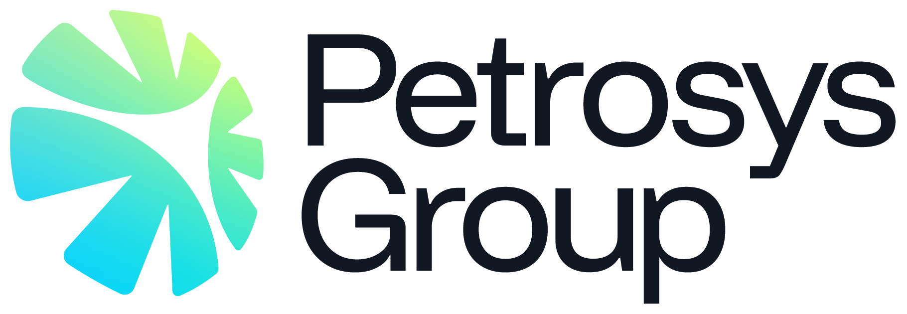 Petrosys Group